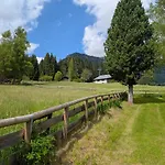 Nido Del Brenta