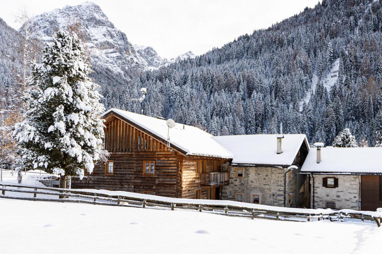 Nido Del Brenta *