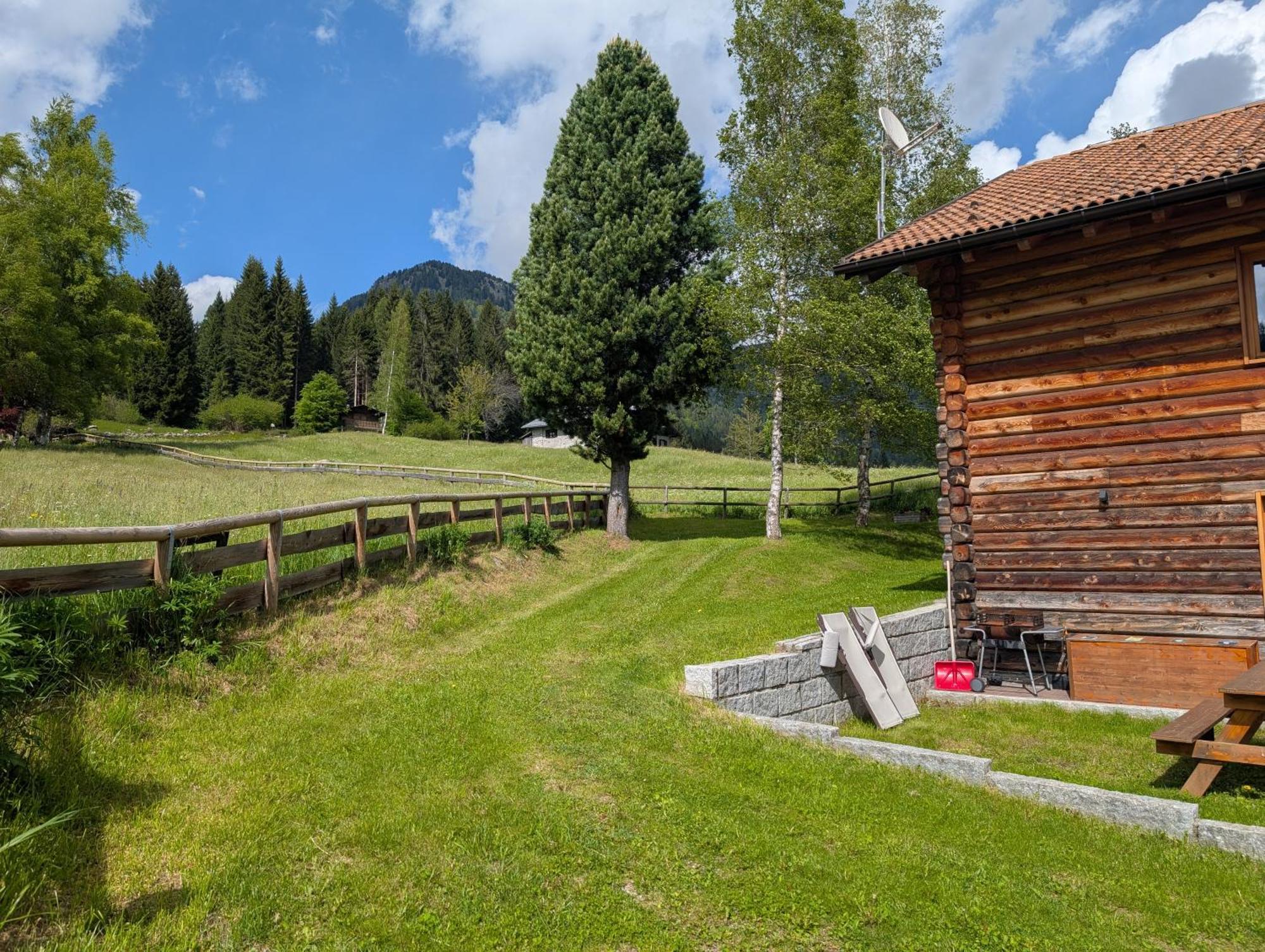 Appartamento Nido Del Brenta *